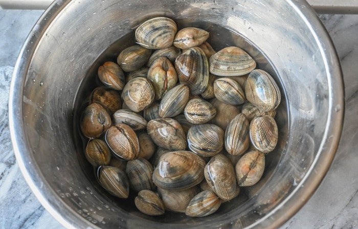 Clam 5
