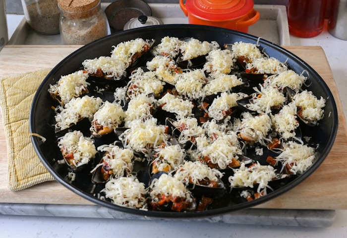 Blaskjell 9