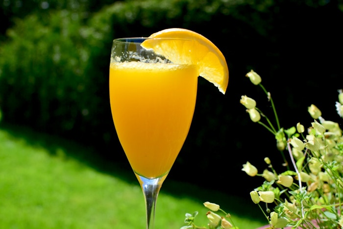 Mimosa Front